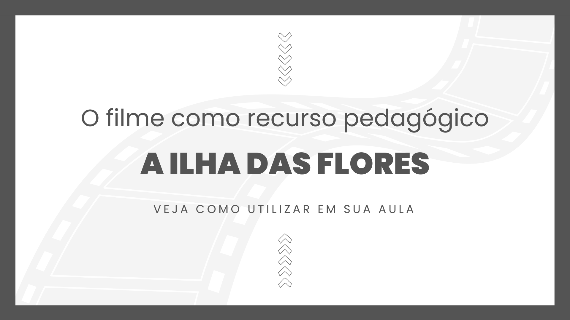 No momento, você está visualizando Filme: A Ilha das Flores (1989)
