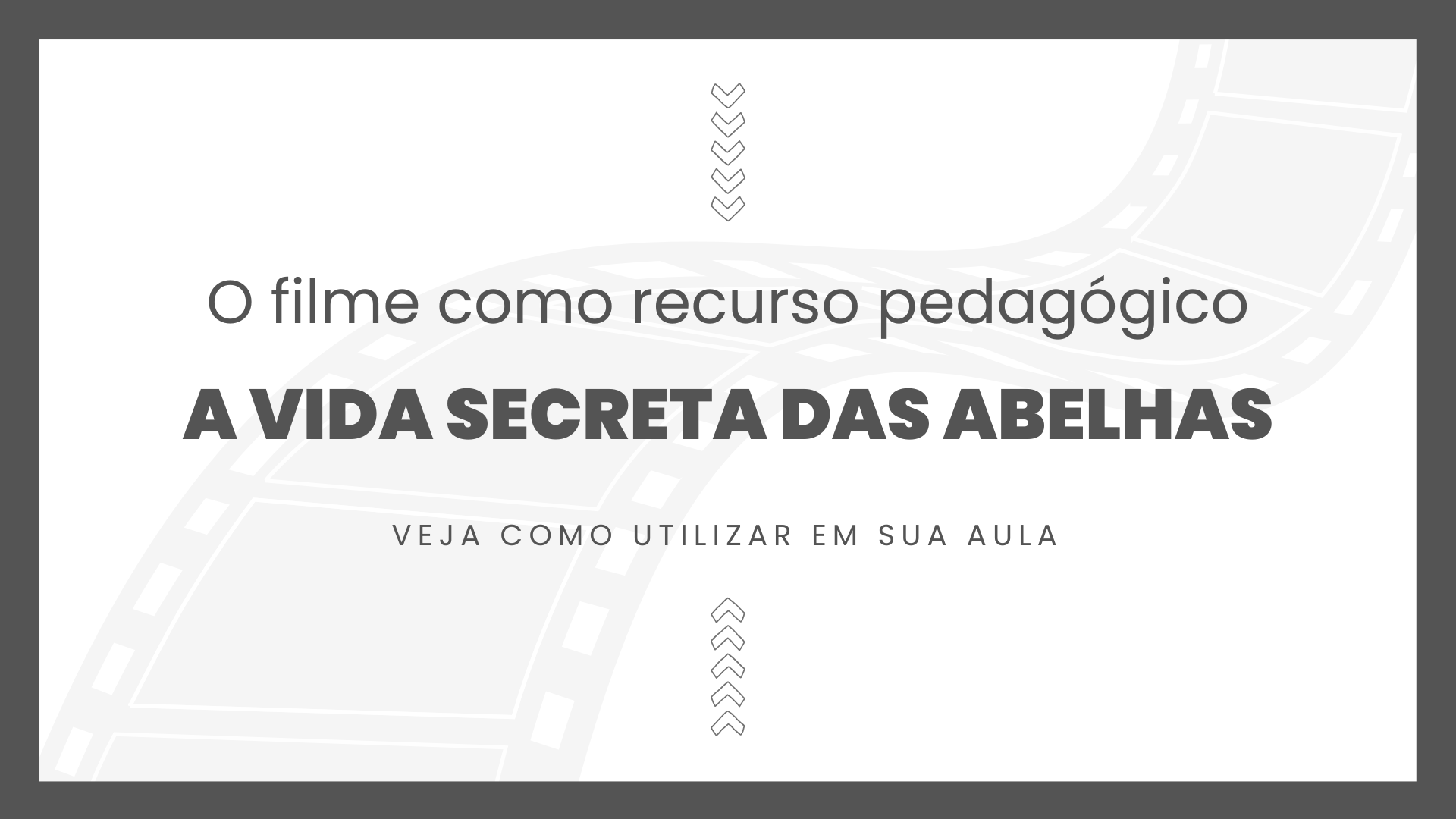 No momento, você está visualizando Filme: A Vida Secreta das Abelhas (2008)