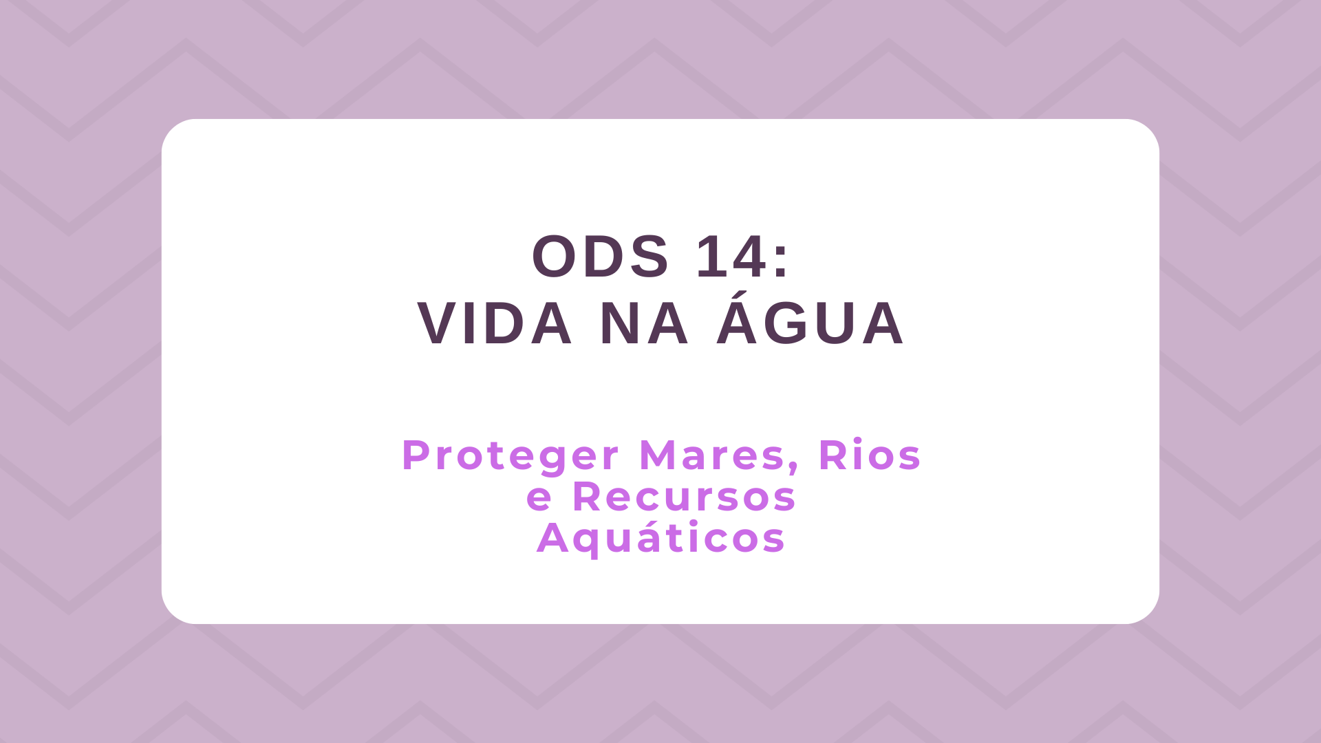 No momento, você está visualizando ODS 14 – Vida na Água: Proteger Mares, rios e recursos aquáticos