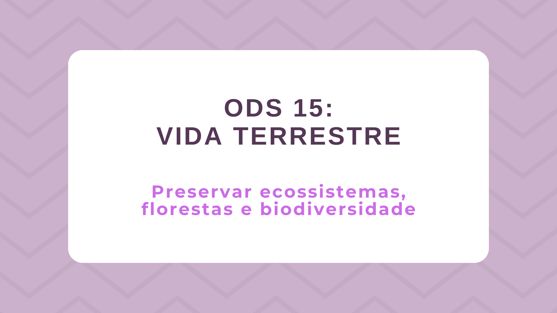No momento, você está visualizando ODS 15 – Vida Terrestre: Preservar ecossistemas, florestas e biodiversidade