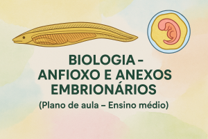 Leia mais sobre o artigo Biologia – Anfioxo e Anexos Embrionários (Plano de aula – Ensino médio)