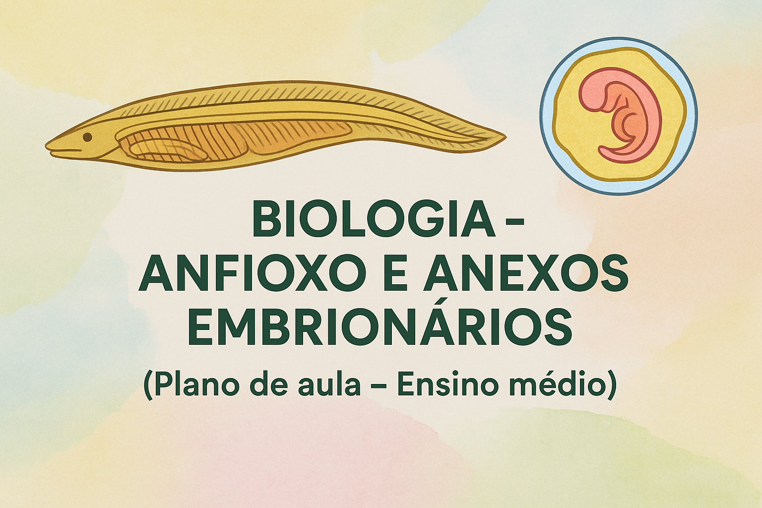 No momento, você está visualizando Biologia – Anfioxo e Anexos Embrionários (Plano de aula – Ensino médio)