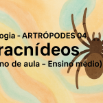 Biologia – ARTRÓPODES 04 – Aracnídeos (Plano de aula – Ensino médio)