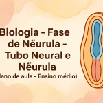 Biologia – Fase de Nêurula – Tubo Neural e Nêurula (Plano de aula – Ensino médio)