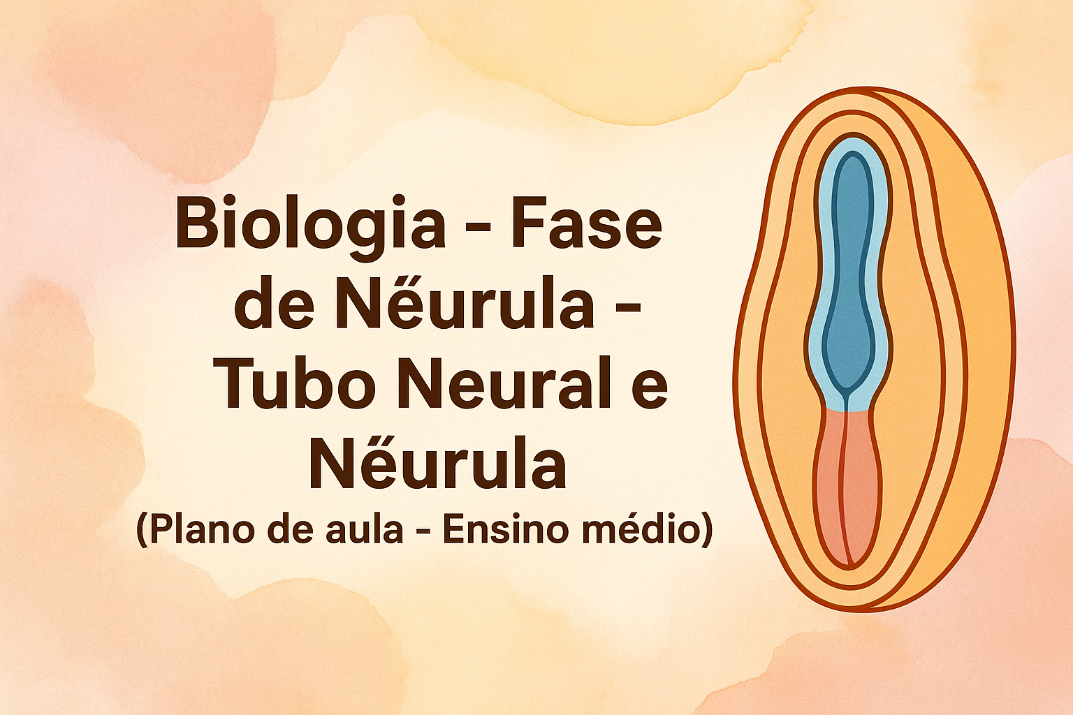 No momento, você está visualizando Biologia – Fase de Nêurula – Tubo Neural e Nêurula (Plano de aula – Ensino médio)