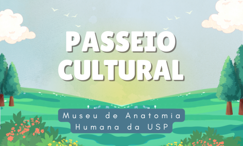 Passeios culturais Museu de Anatomia Humana da USP