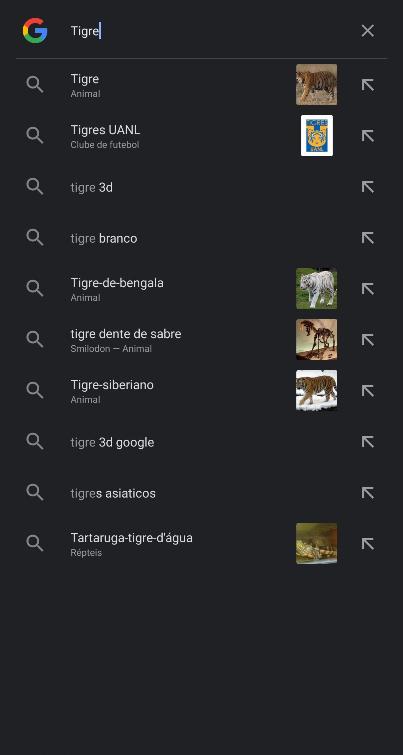 Animais 3D, Google Search