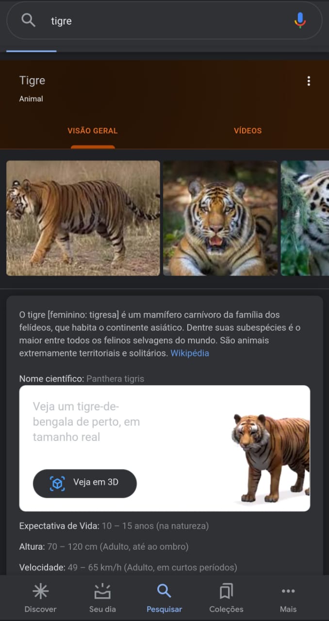 Google acrescenta 50 animais 3D às opções de realidade aumentada