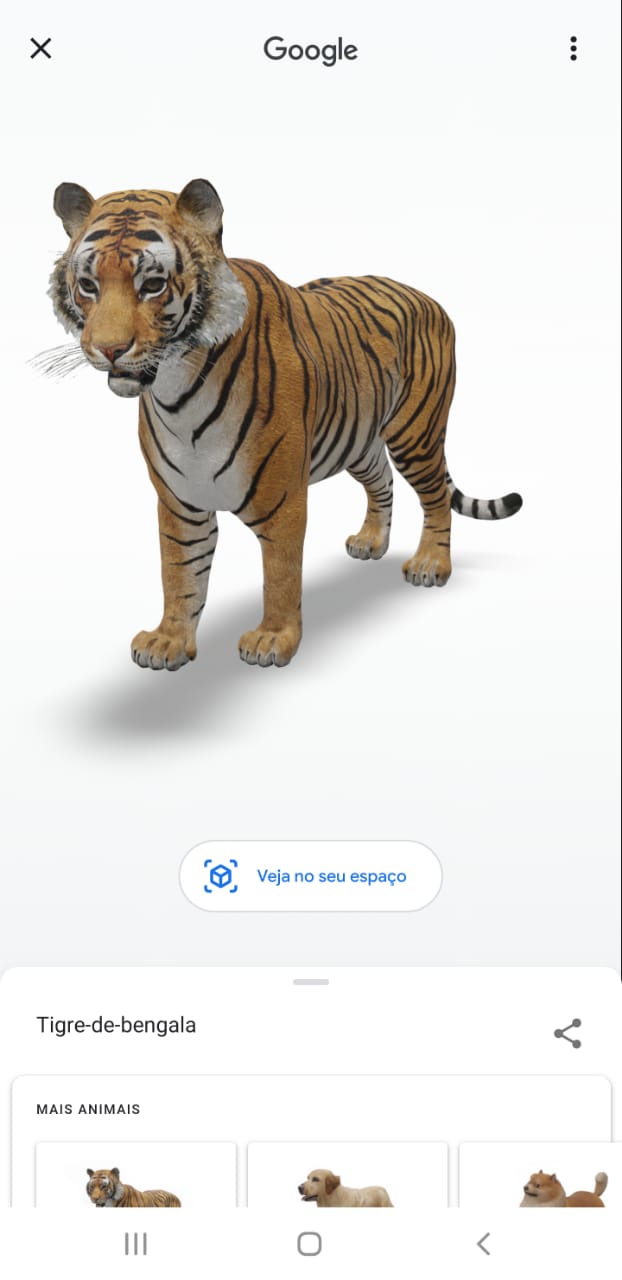 Google disponibiliza animais em 3D no chão da sua casa