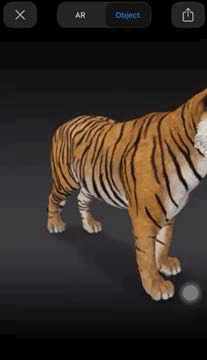 Google permite ver animais em 3D com realidade aumentada - Go Outside