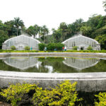 Passeios Culturais: Jardim Botânico de São Paulo