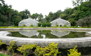 Leia mais sobre o artigo Passeios Culturais: Jardim Botânico de São Paulo