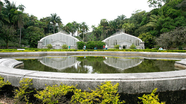 Passeios Culturais: Jardim Botânico de São Paulo