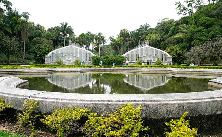 Você está visualizando atualmente Passeios Culturais: Jardim Botânico de São Paulo