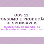 ODS 12 – Consumo e Produção Responsáveis: Reduzindo desperdícios e incentivando o consumo consciente
