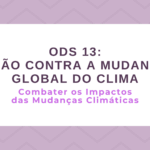 ODS 13 – Ação Contra a Mudança Global do Clima: Combater os impactos das mudanças climáticas