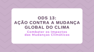 Leia mais sobre o artigo ODS 13 – Ação Contra a Mudança Global do Clima: Combater os impactos das mudanças climáticas