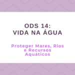 ODS 14 – Vida na Água: Proteger Mares, rios e recursos aquáticos