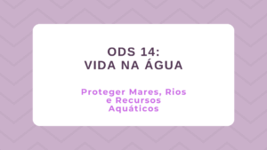 Leia mais sobre o artigo ODS 14 – Vida na Água: Proteger Mares, rios e recursos aquáticos
