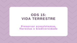 Leia mais sobre o artigo ODS 15 – Vida Terrestre: Preservar ecossistemas, florestas e biodiversidade