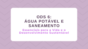 Leia mais sobre o artigo ODS 6 – Água Potável e Saneamento: Essenciais para a vida e o Desenvolvimento sustentável