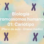 Biologia – Cromossomos humanos – 01: Cariótipo (Plano de aula – Ensino médio)